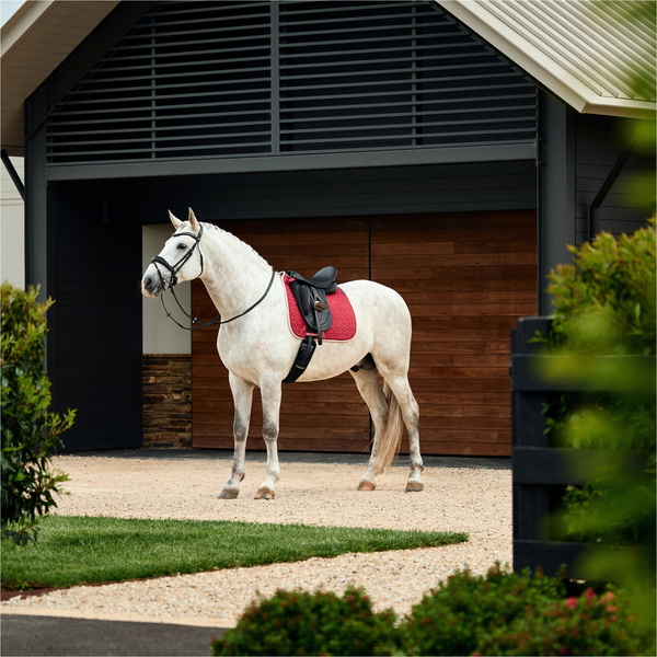 2026 WeatherBeeta Suede Elite Air-Tec Dressage Saddle Pad 1030346015 - Wine Plum